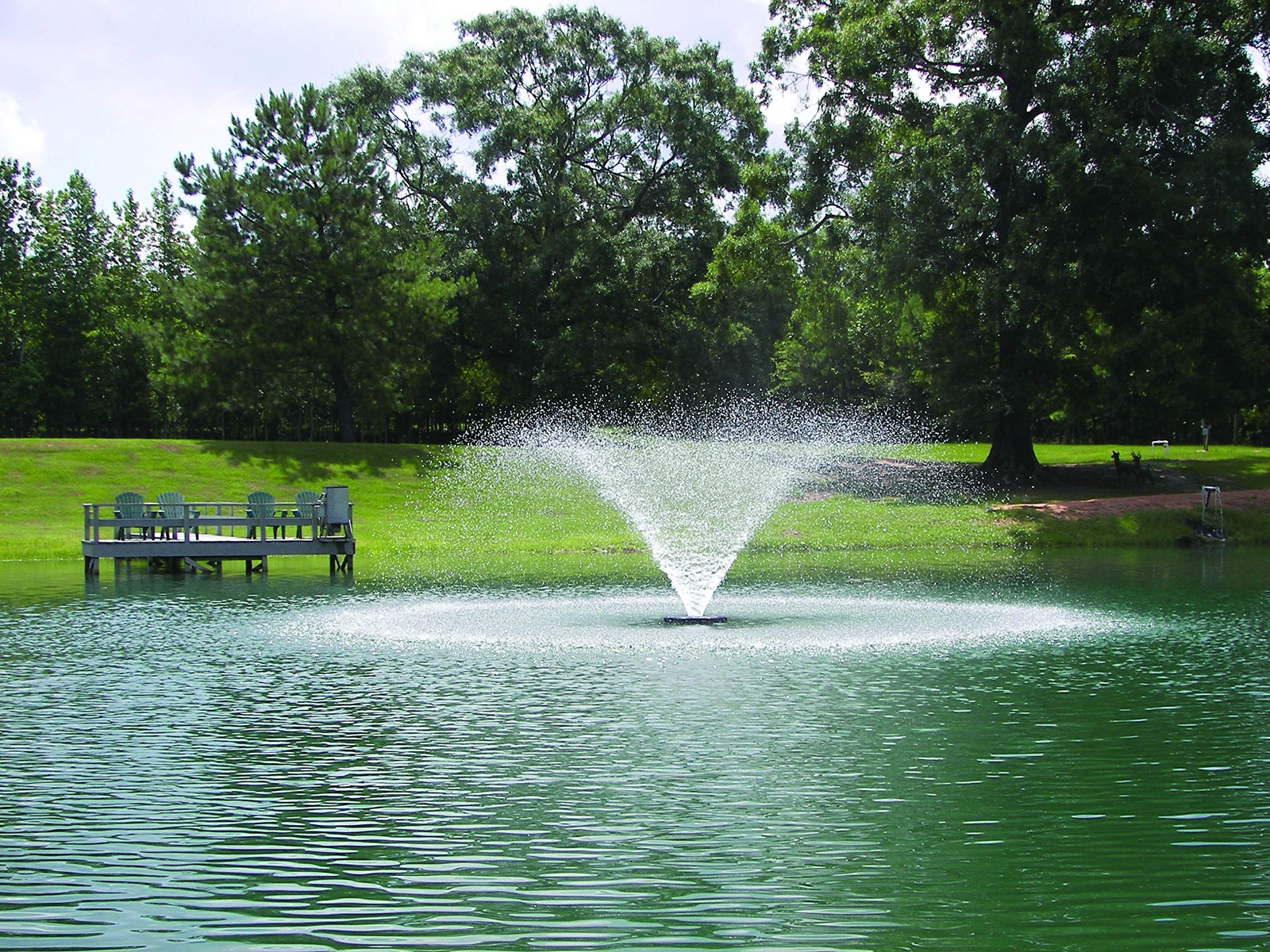 Kasco circulating fountain operating at the surface of a managed pond